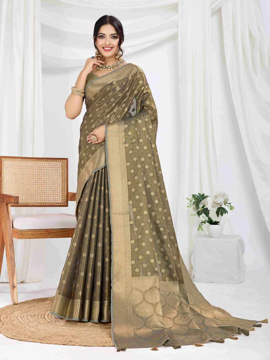 Rich Pallu Banarasi Silk Saree